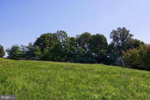 Residential Land in Spring Grove