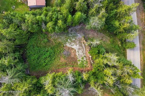 Wooded Homesite with Building Pad