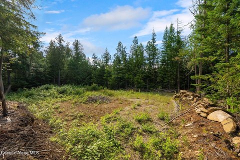 Wooded Homesite with Cleared Pad