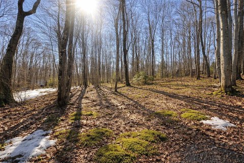 Lots/Land, Terra Alta, WV