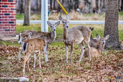 Land Near Lake Belton
