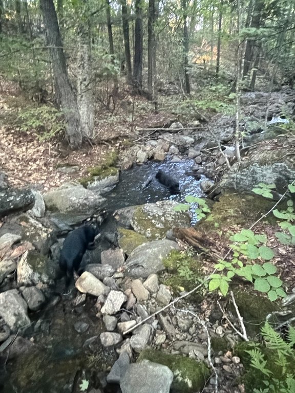 Picture 12