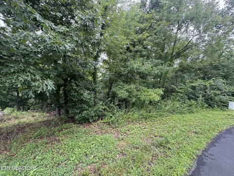 Lots & Acreage, Loudon, TN