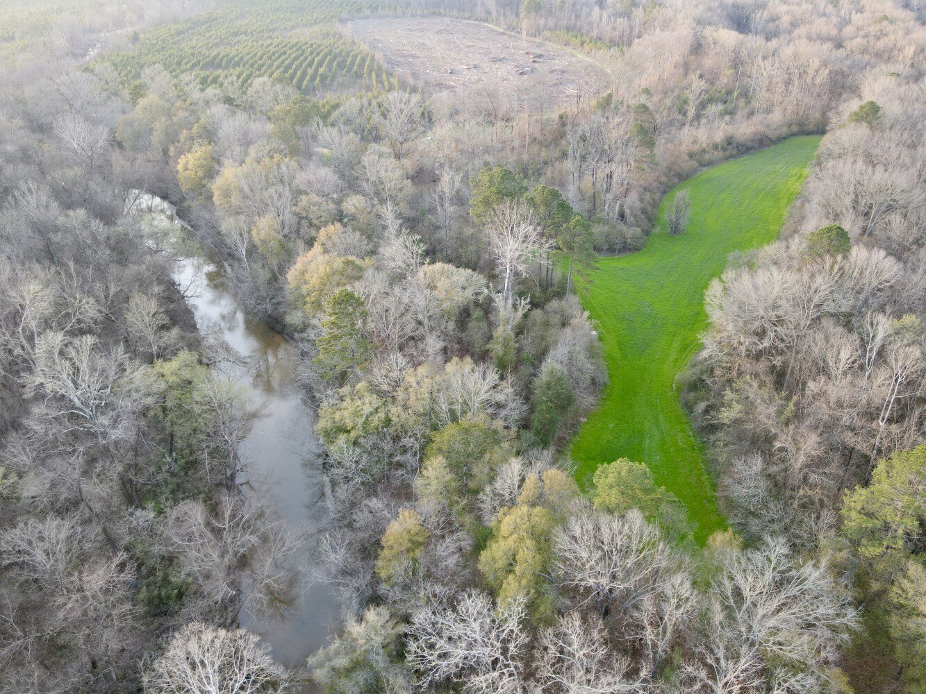 Waterfront Hunting and Timber Investment