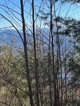 Fontana Lake View Land