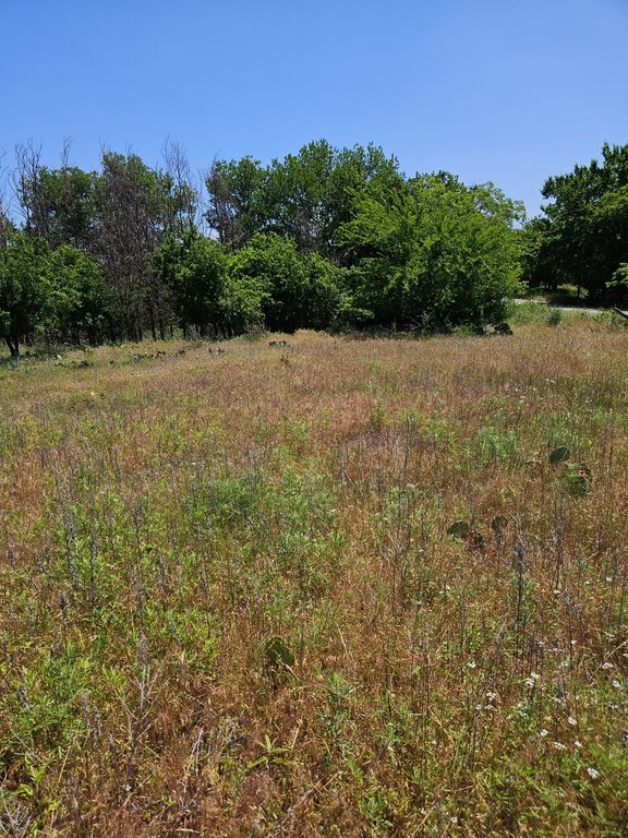 Picture 9