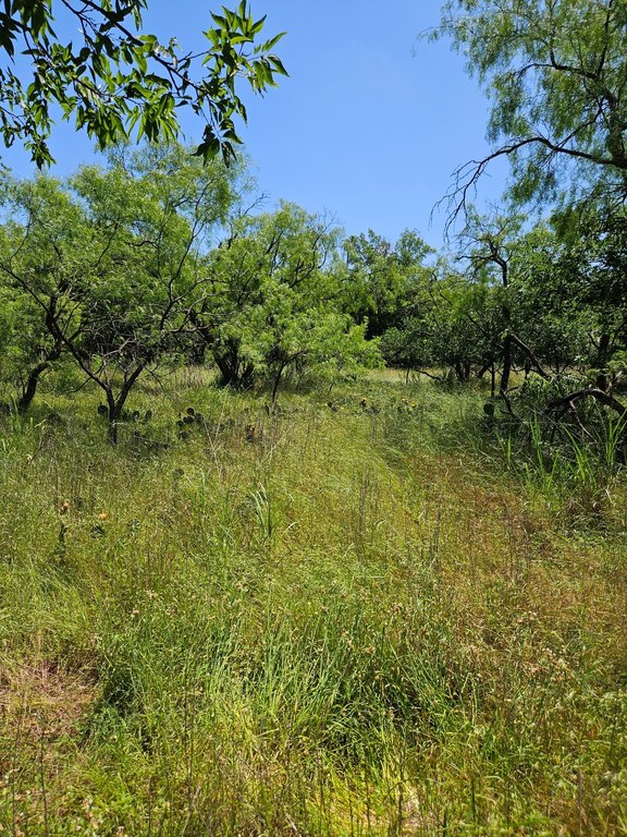 Picture 7