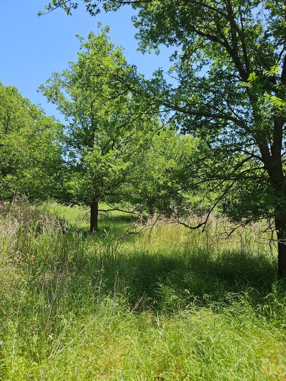 Picture 8