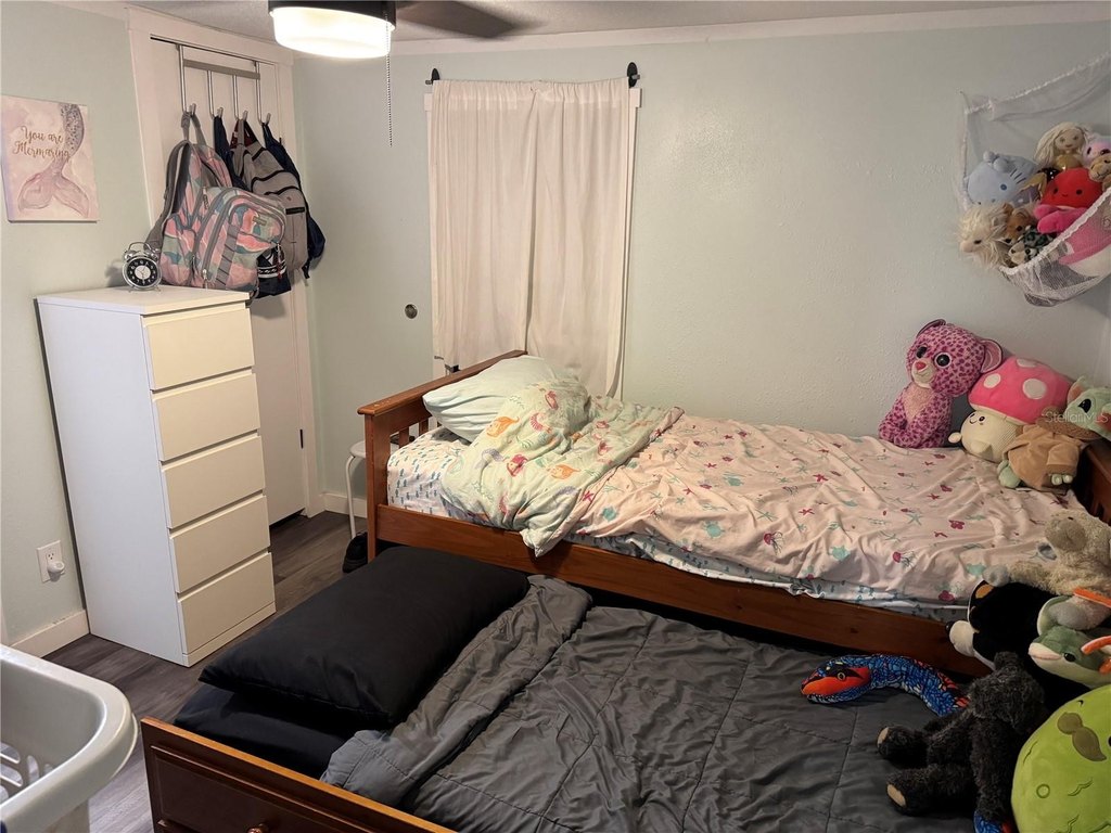 Picture 11