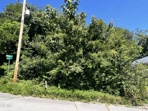 LAND - Kingsport, TN