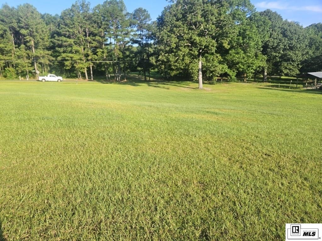 Picture 3