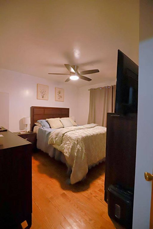 Picture 8