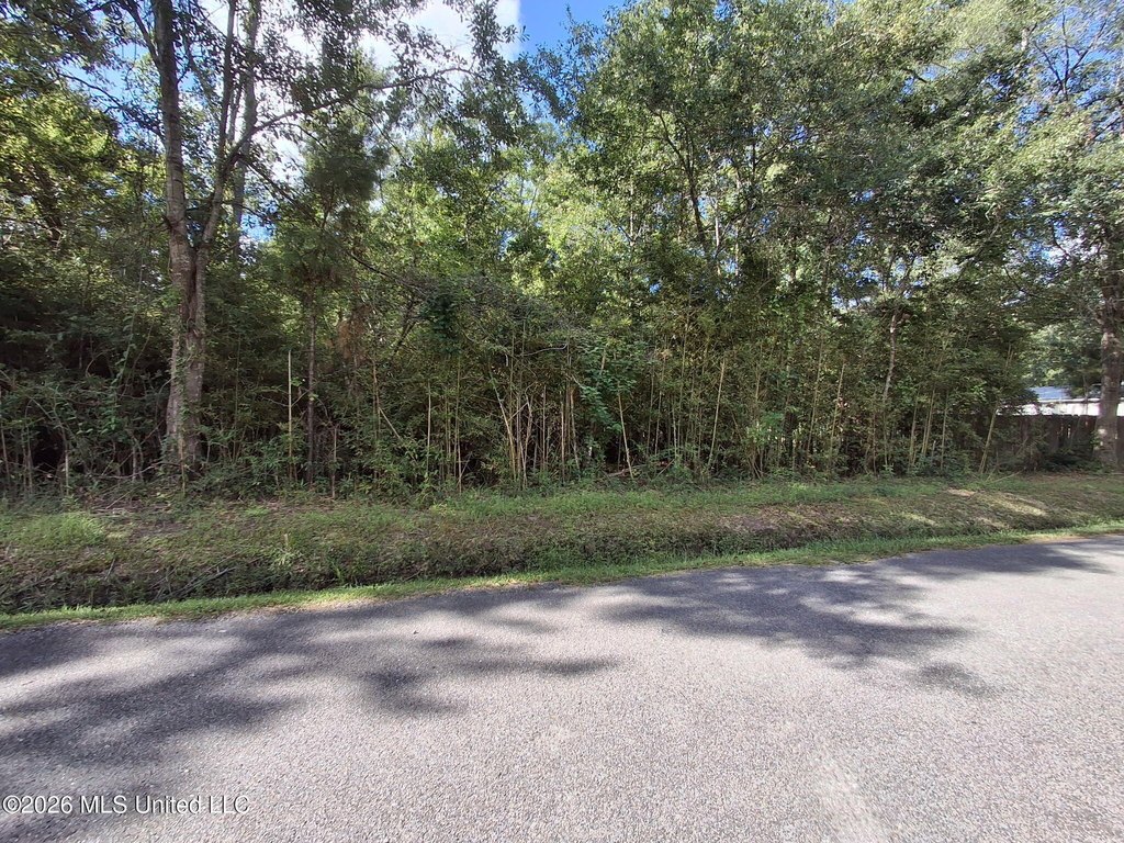 Picture 2