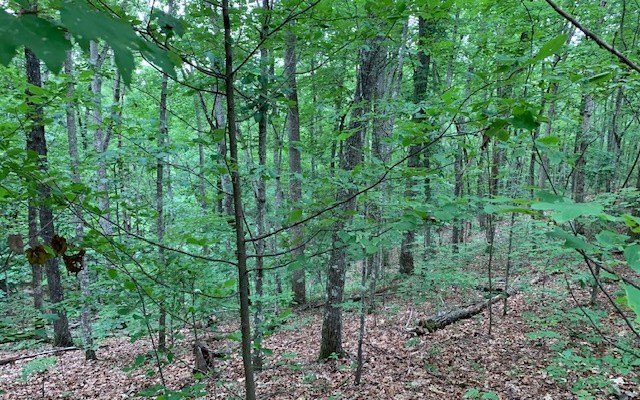 Picture 16