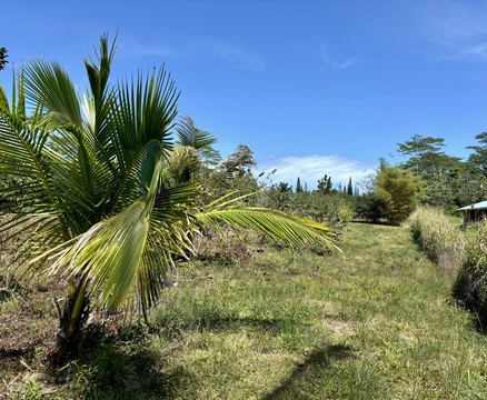 Two-Acre Land Parcel in Keaau