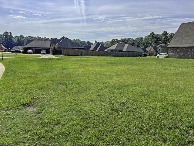 Picture 9