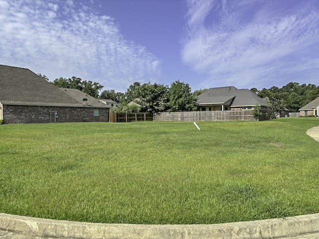 Picture 11