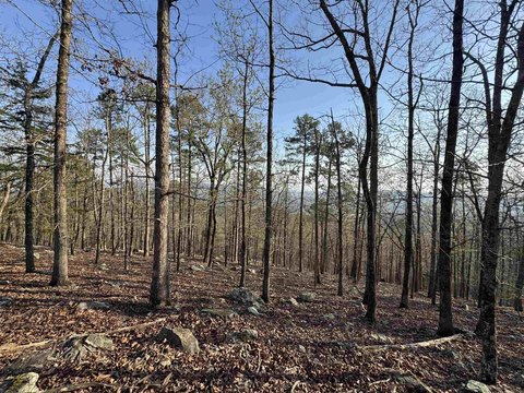 Vacant Lot with Mountain Views