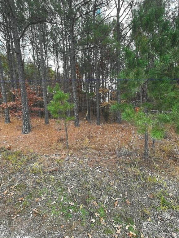 Picture 4