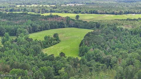 21.86 Acres in Magee, MS