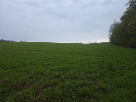 Hunting and Hobby Farm Land
