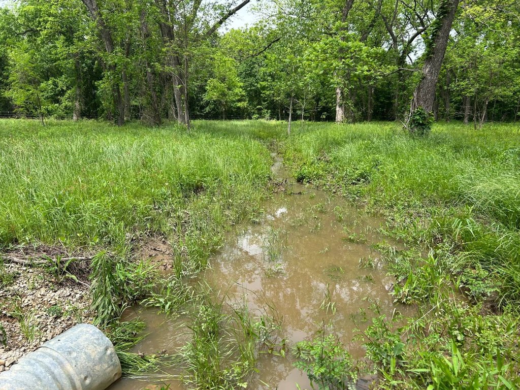 Picture 13