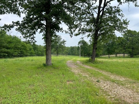 Unrestricted Land with Pecan Orchard