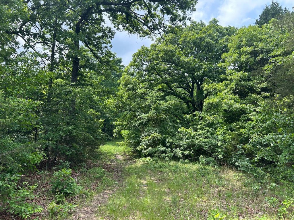 Picture 19