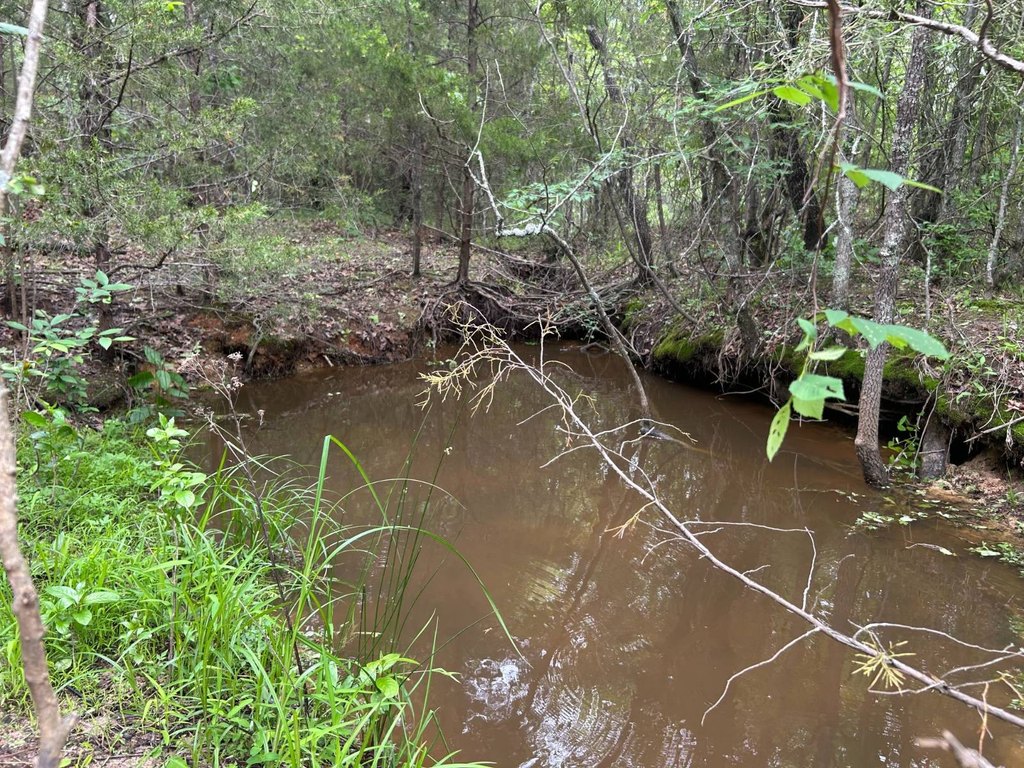 Picture 16