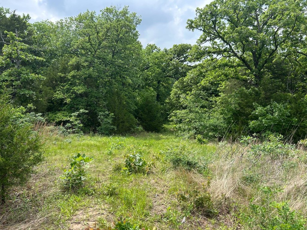 Picture 29