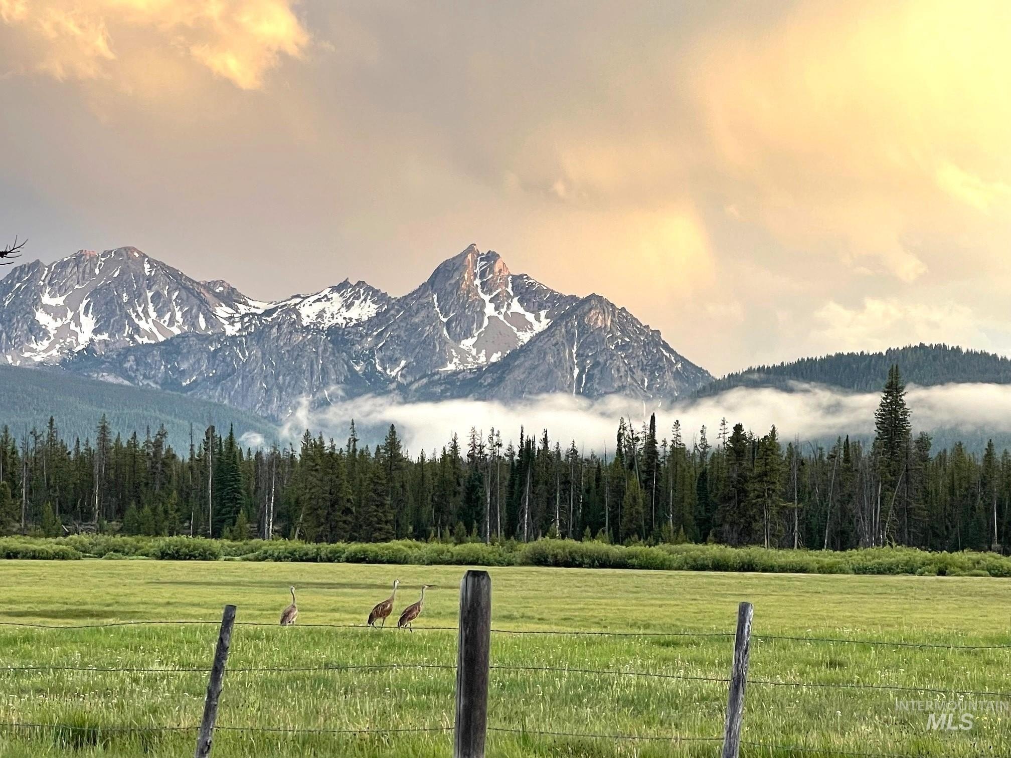 Buildable Land Near Salmon River