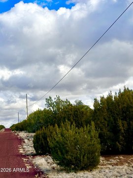 Residential Land in Concho, Arizona