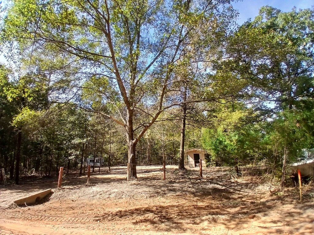 Picture 2