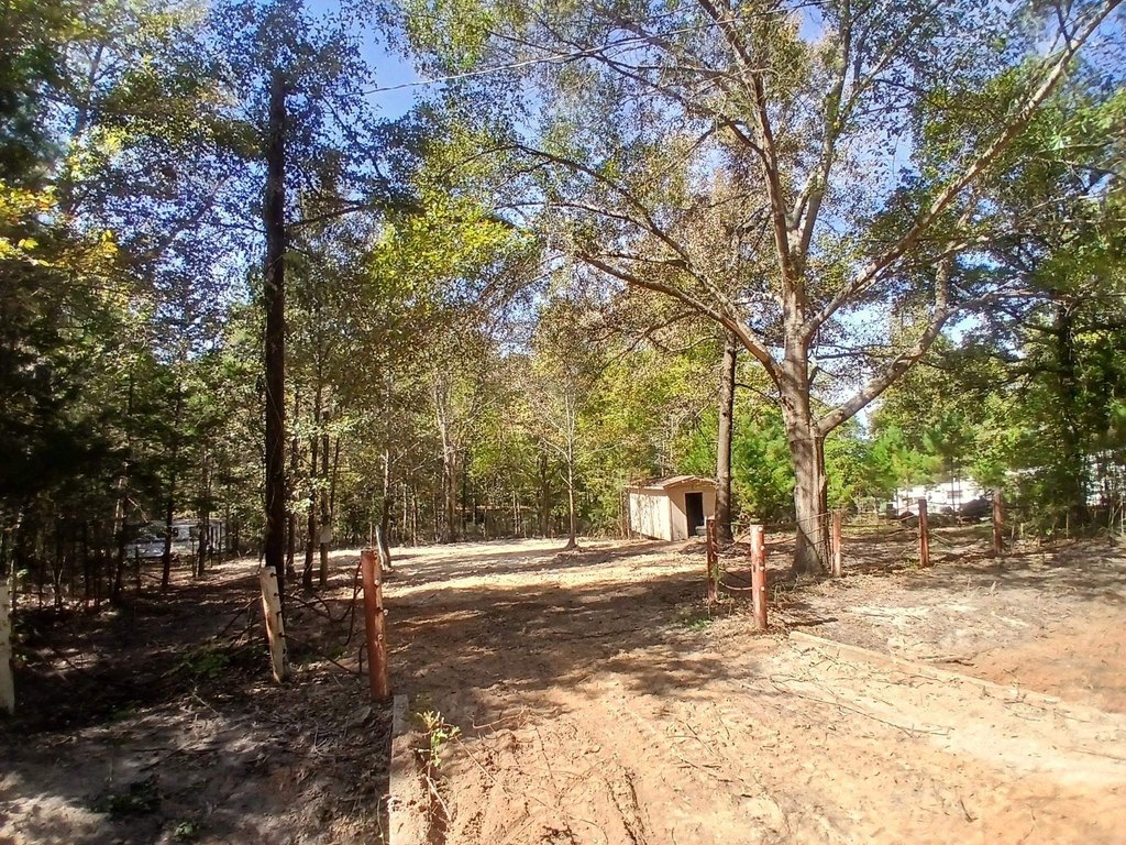 Picture 5