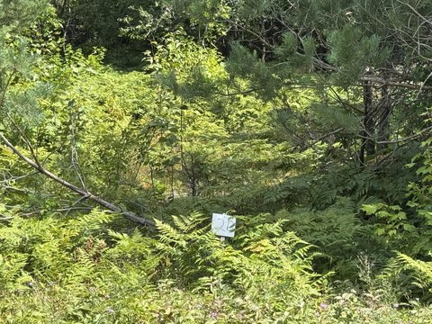 Land, Kinross, MI