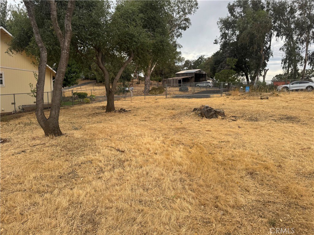 Picture 4