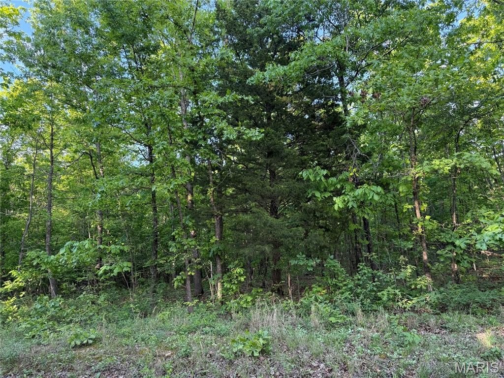 Picture 4