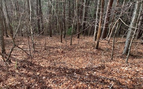 LAND - Murphy, NC
