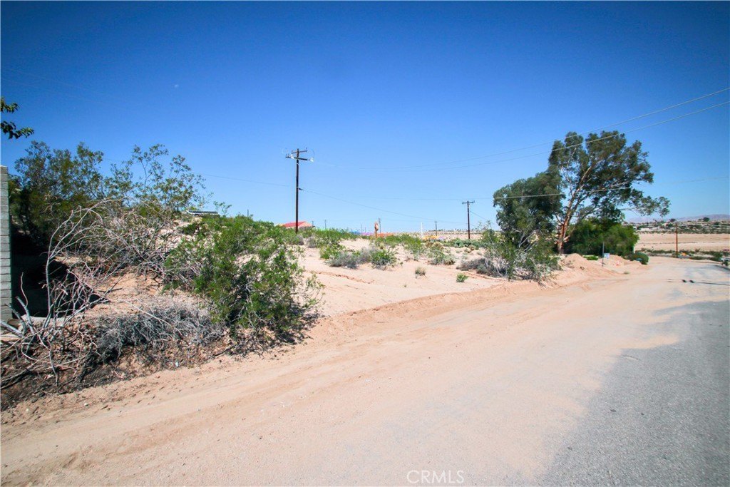 Picture 16