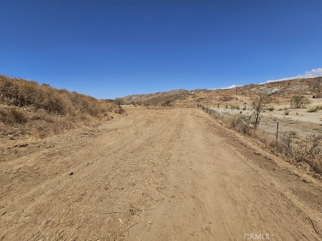 Picture 6