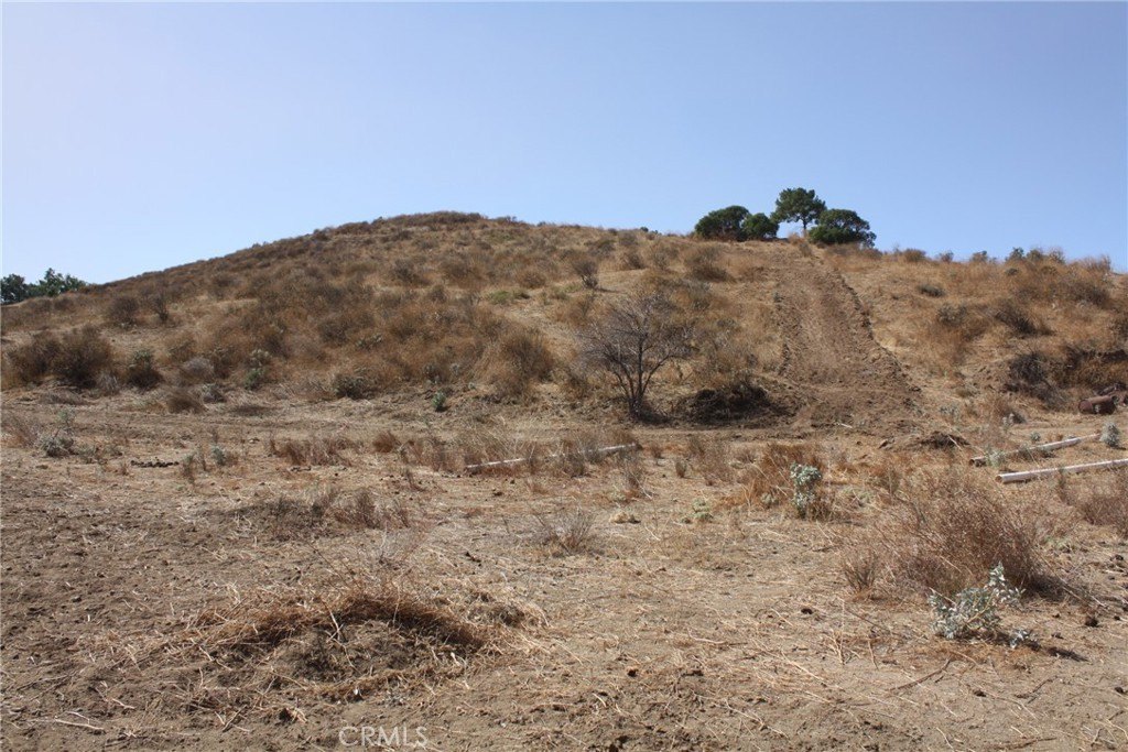 Picture 32