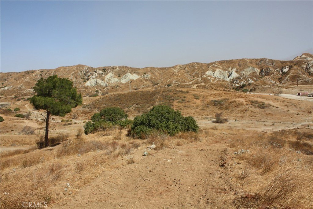 Picture 19