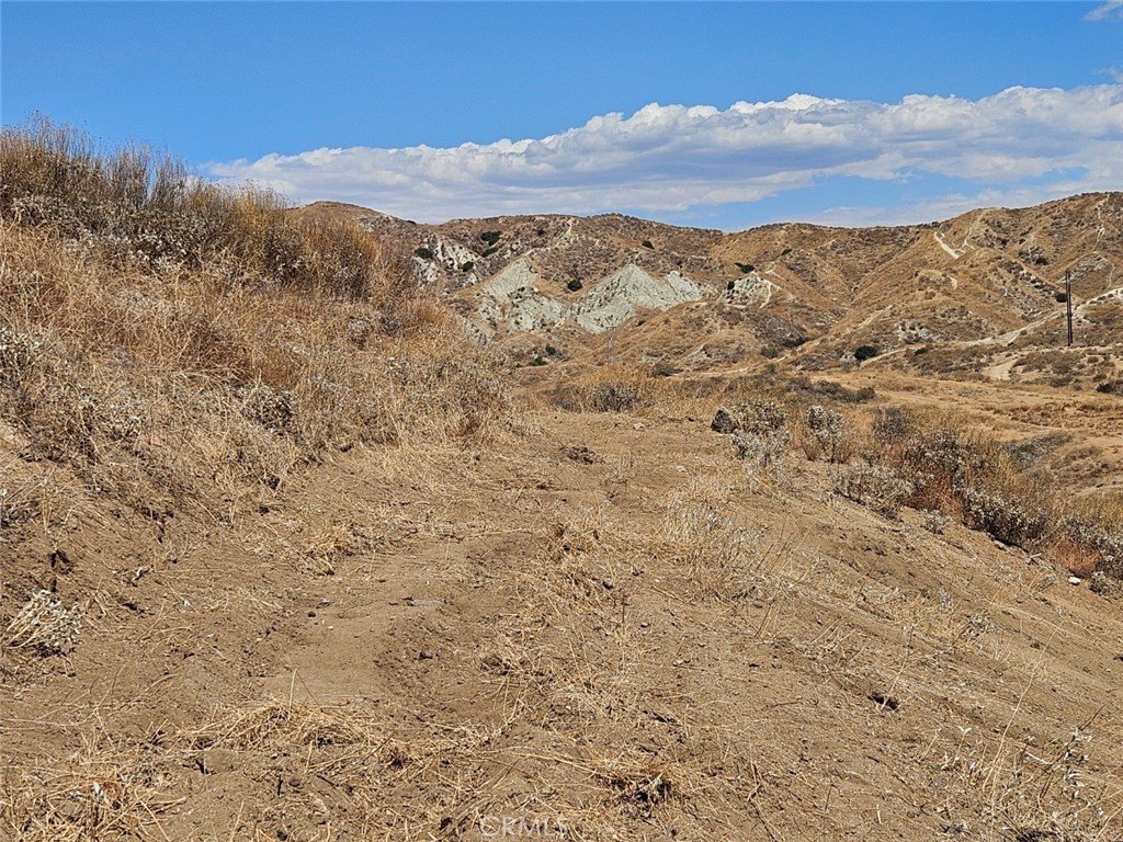 Picture 10