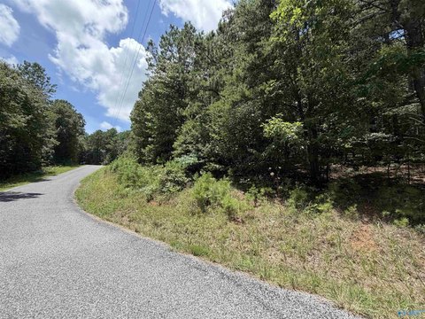 LAND - Leesburg, AL