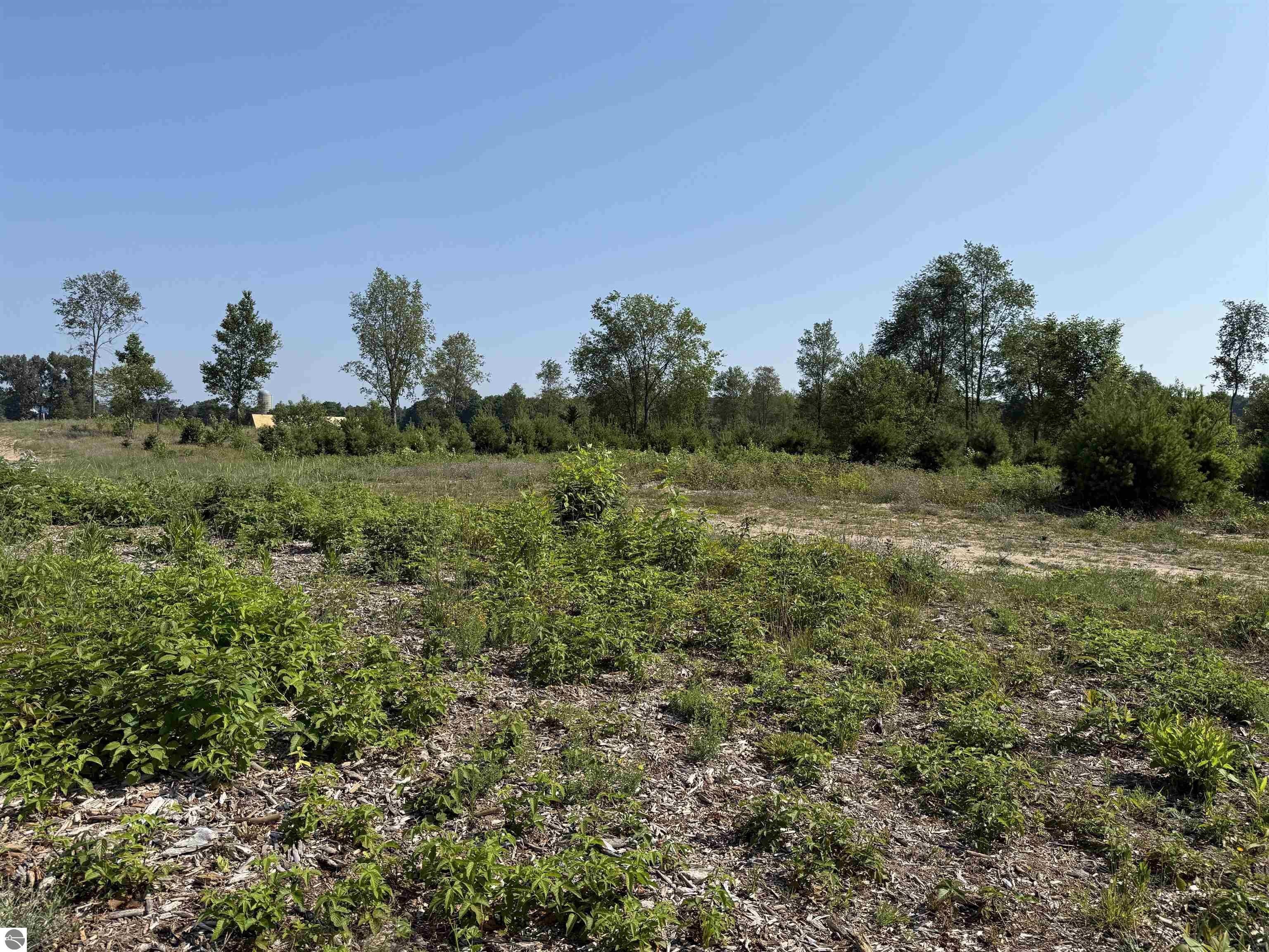 Maple City Vacant Land Parcel