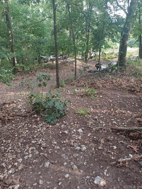 Picture 16