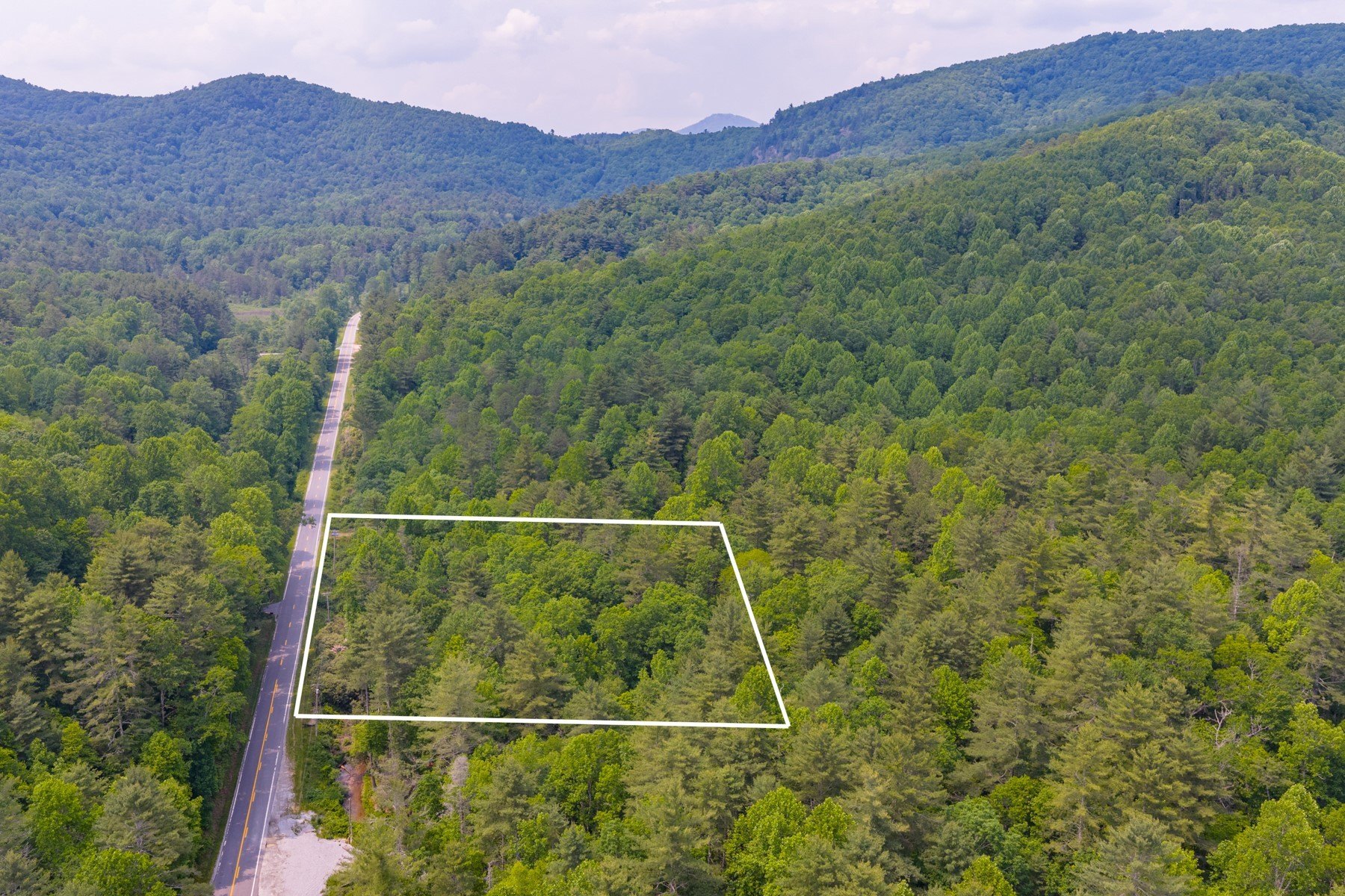 Wooded Land Near US Forest