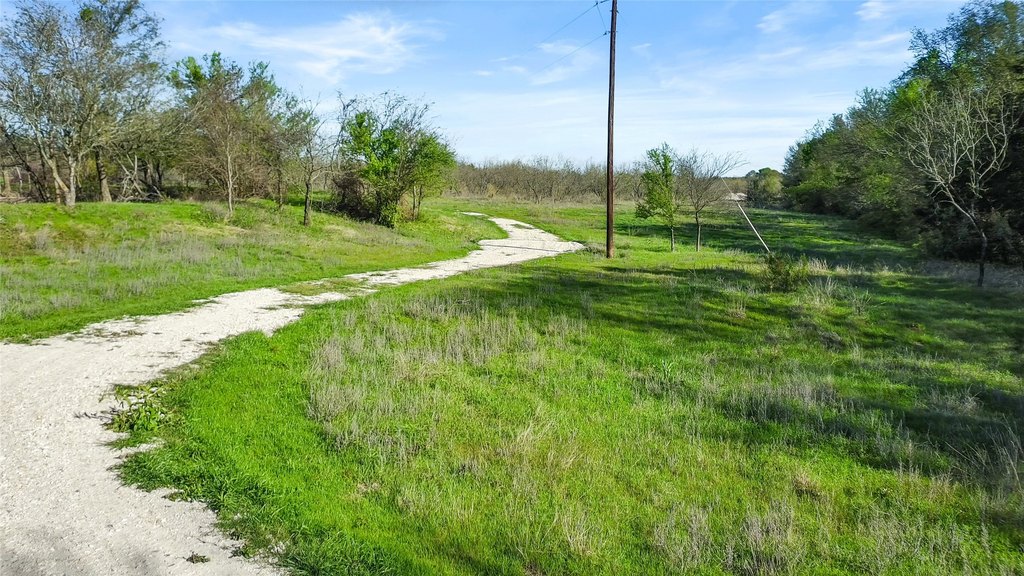 Picture 18