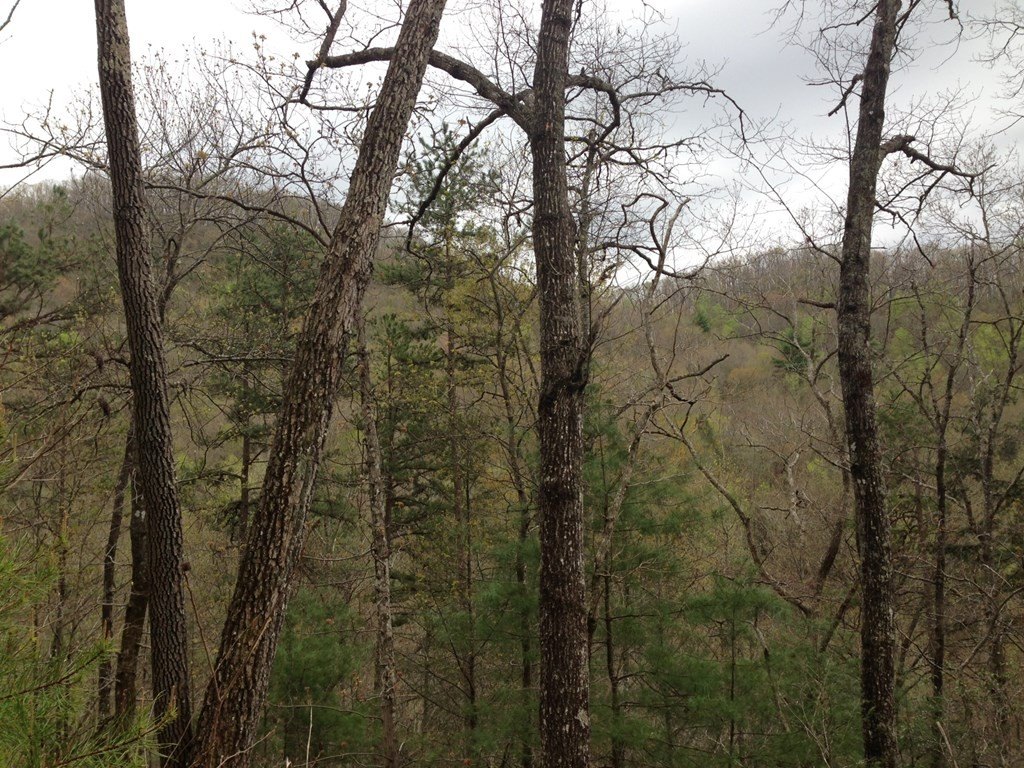 Picture 3