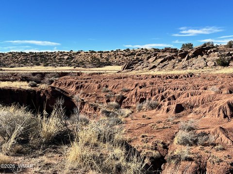 Land, Concho, AZ